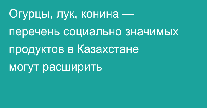 Огурцы, лук, конина — перечень социально значимых продуктов в Казахстане могут расширить