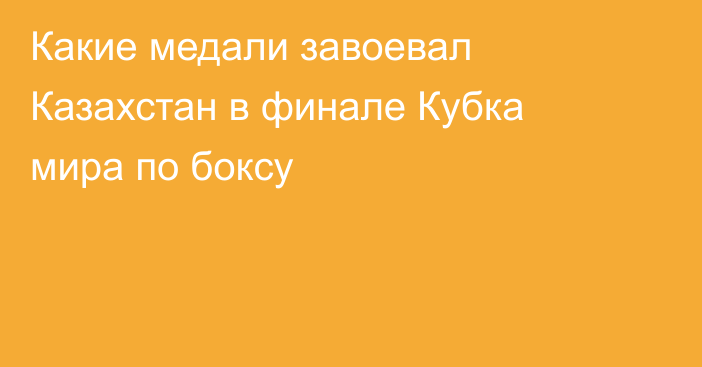 Какие медали завоевал Казахстан в финале Кубка мира по боксу