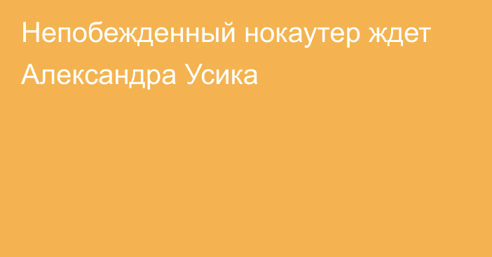 Непобежденный нокаутер ждет Александра Усика
