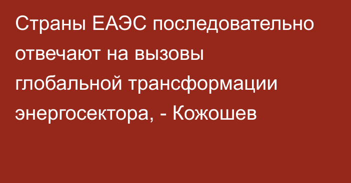 Страны ЕАЭС последовательно отвечают на вызовы глобальной трансформации энергосектора, - Кожошев