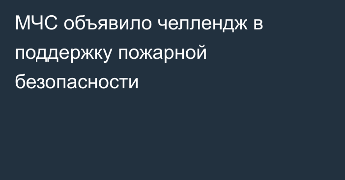 МЧС объявило челлендж в поддержку пожарной безопасности