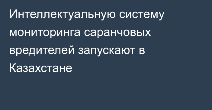 Интеллектуальную систему мониторинга саранчовых вредителей запускают в Казахстане