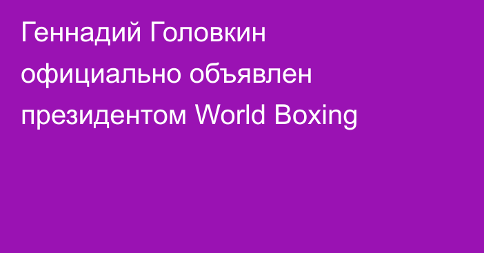 Геннадий Головкин официально объявлен президентом World Boxing