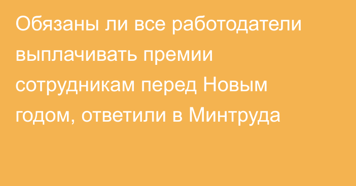 Обязаны ли все работодатели выплачивать премии сотрудникам перед Новым годом, ответили в Минтруда