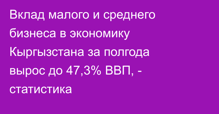 Вклад малого и среднего бизнеса в экономику Кыргызстана за полгода вырос до 47,3% ВВП, - статистика