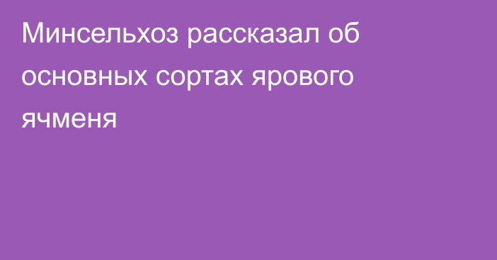 Минсельхоз рассказал об основных сортах ярового ячменя
