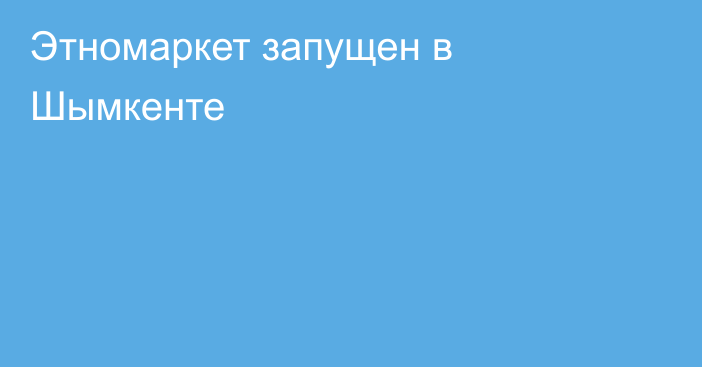 Этномаркет запущен в Шымкенте