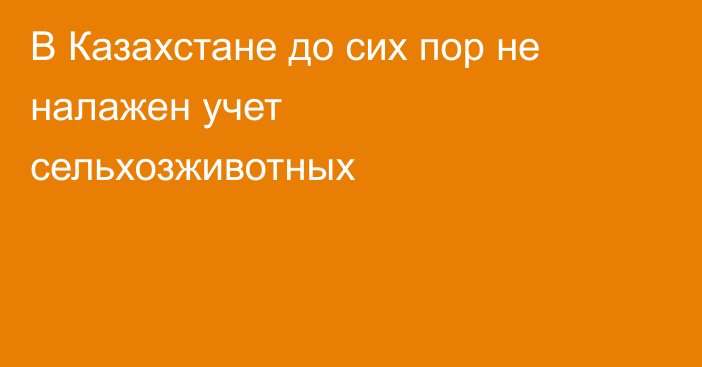 В Казахстане до сих пор не налажен учет сельхозживотных