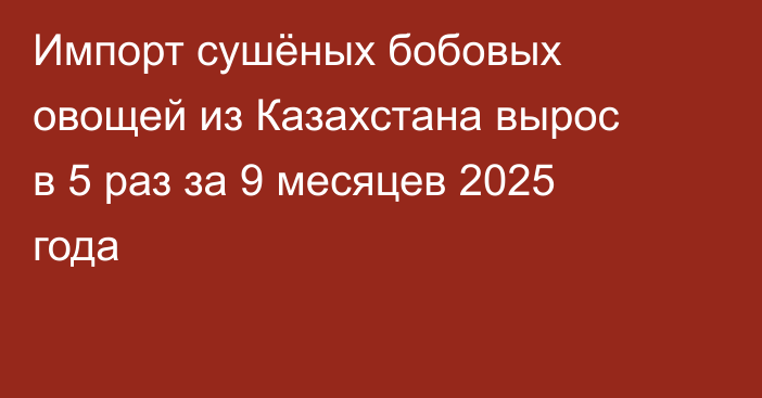 Импорт сушёных бобовых овощей из Казахстана вырос в 5 раз за 9 месяцев 2025 года