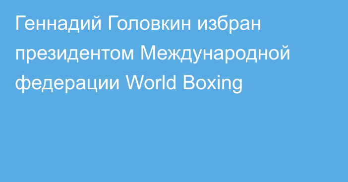Геннадий Головкин избран президентом Международной федерации World Boxing