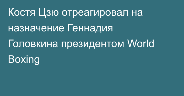 Костя Цзю отреагировал на назначение Геннадия Головкина президентом World Boxing