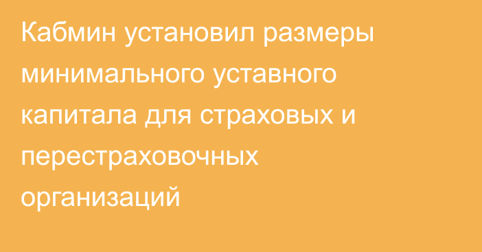 Кабмин установил размеры минимального уставного капитала для страховых и перестраховочных организаций