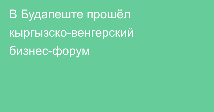 В Будапеште прошёл кыргызско-венгерский бизнес-форум