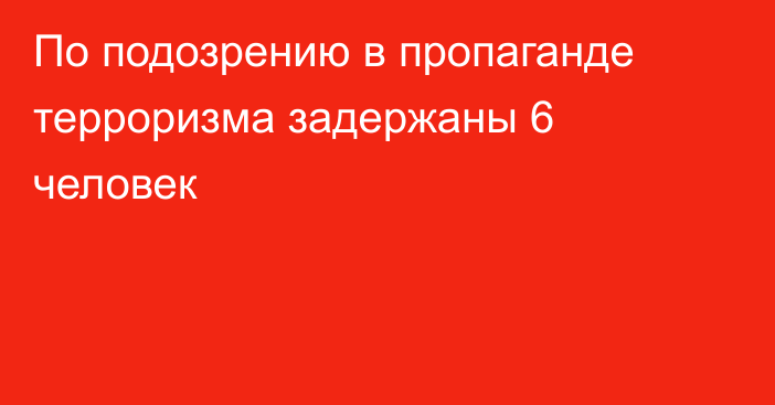 По подозрению в пропаганде терроризма задержаны 6 человек