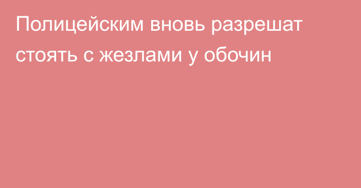 Полицейским вновь разрешат стоять с жезлами у обочин