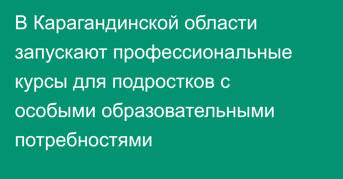 В Карагандинской области запускают профессиональные курсы для подростков с особыми образовательными потребностями