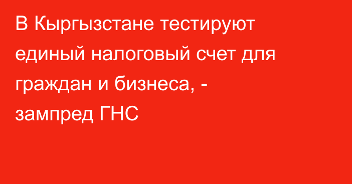 В Кыргызстане тестируют единый налоговый счет для граждан и бизнеса, - зампред ГНС