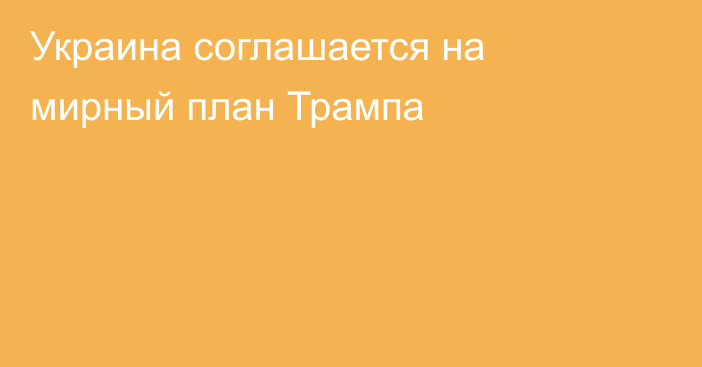 Украина соглашается на мирный план Трампа