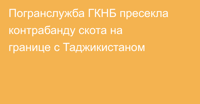 Погранслужба ГКНБ пресекла контрабанду скота на границе с Таджикистаном