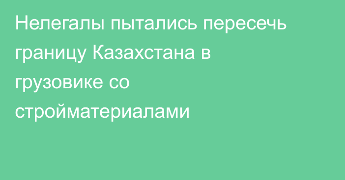 Нелегалы пытались пересечь границу Казахстана в грузовике со стройматериалами