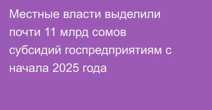 Местные власти выделили почти 11 млрд сомов субсидий госпредприятиям с начала 2025 года