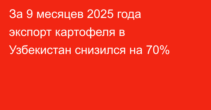 За 9 месяцев 2025 года экспорт картофеля в Узбекистан снизился на 70%