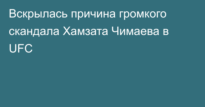 Вскрылась причина громкого скандала Хамзата Чимаева в UFC