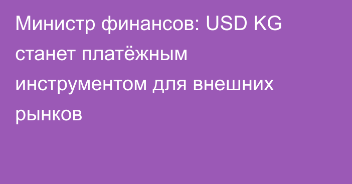 Министр финансов: USD KG станет платёжным инструментом для внешних рынков