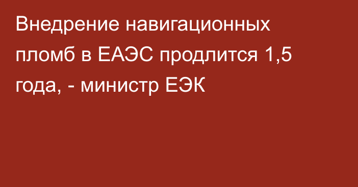 Внедрение навигационных пломб в ЕАЭС продлится 1,5 года, - министр ЕЭК