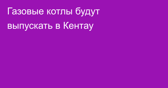 Газовые котлы будут выпускать в Кентау