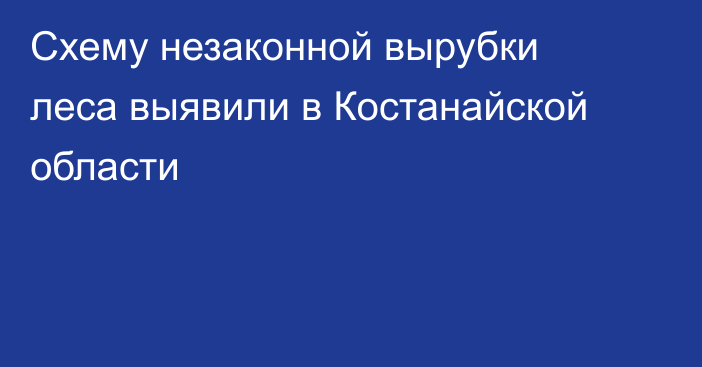 Схему незаконной вырубки леса выявили в Костанайской области