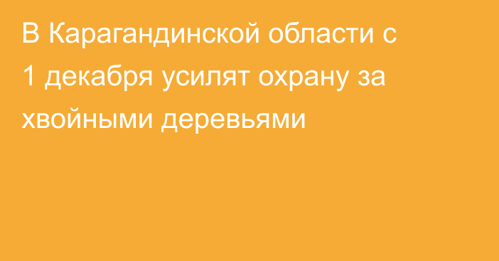 В Карагандинской области с 1 декабря усилят охрану за хвойными деревьями