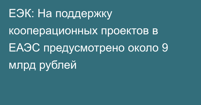 ЕЭК: На поддержку кооперационных проектов в ЕАЭС предусмотрено около 9 млрд рублей
