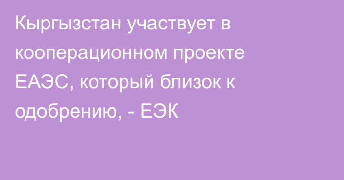 Кыргызстан участвует в кооперационном проекте ЕАЭС, который близок к одобрению, - ЕЭК