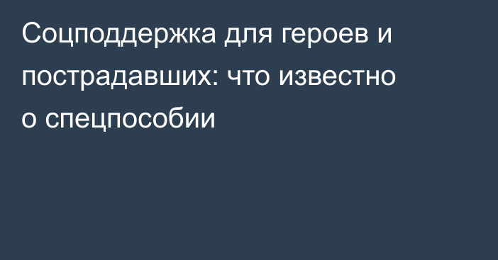 Соцподдержка для героев и пострадавших: что известно о спецпособии