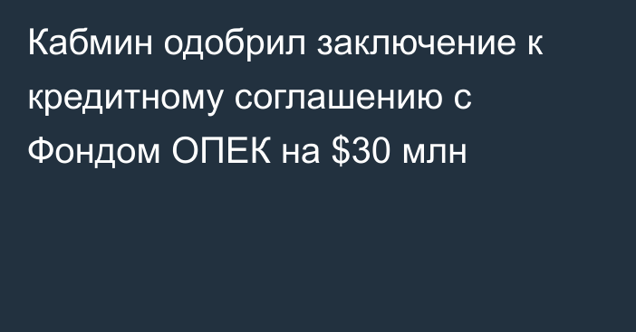Кабмин одобрил заключение к кредитному соглашению с Фондом ОПЕК на $30 млн