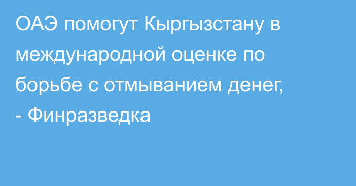 ОАЭ помогут Кыргызстану в международной оценке по борьбе с отмыванием денег, - Финразведка