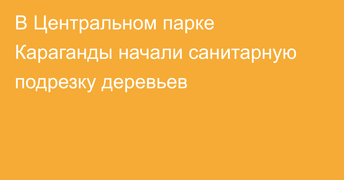 В Центральном парке Караганды начали санитарную подрезку деревьев