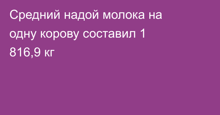 Средний надой молока на одну корову составил 1 816,9 кг
