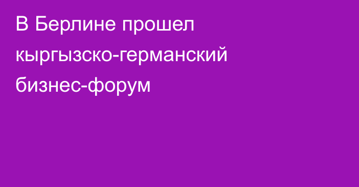 В Берлине прошел кыргызско-германский бизнес-форум