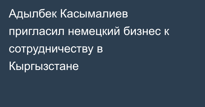Адылбек Касымалиев пригласил немецкий бизнес к сотрудничеству в Кыргызстане