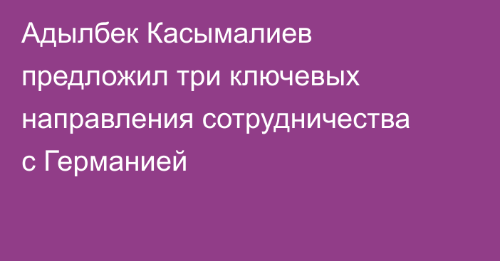 Адылбек Касымалиев предложил три ключевых направления сотрудничества с Германией