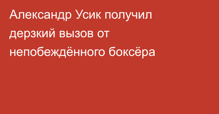Александр Усик получил дерзкий вызов от непобеждённого боксёра