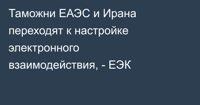Таможни ЕАЭС и Ирана переходят к настройке электронного взаимодействия, - ЕЭК