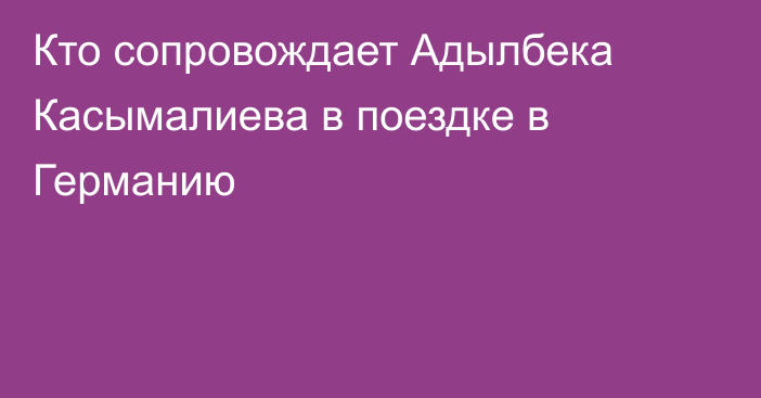 Кто сопровождает Адылбека Касымалиева в поездке в Германию