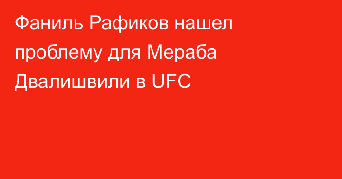 Фаниль Рафиков нашел проблему для Мераба Двалишвили в UFC