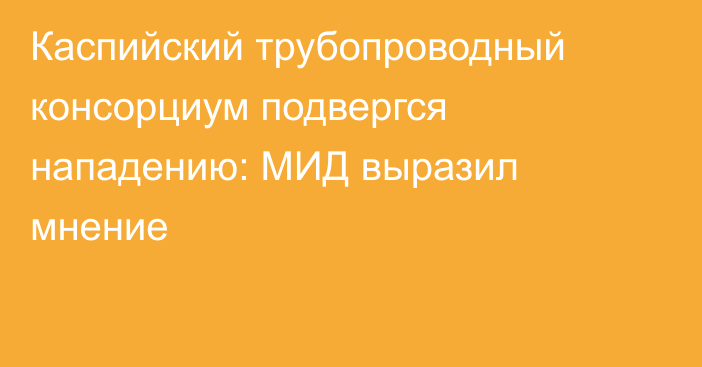 Каспийский трубопроводный консорциум подвергся нападению: МИД выразил мнение