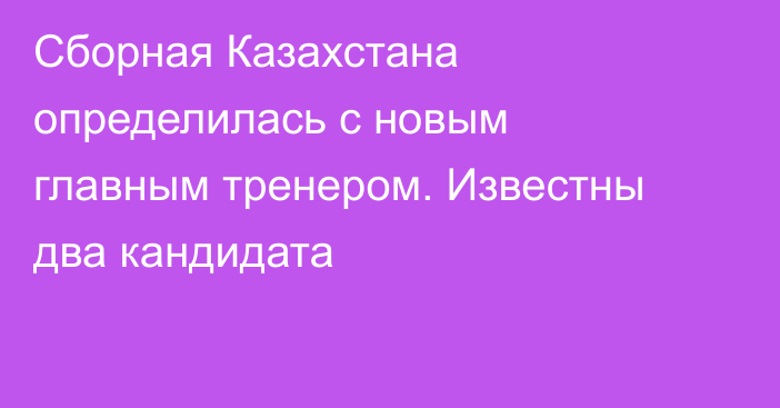 Сборная Казахстана определилась с новым главным тренером. Известны два кандидата