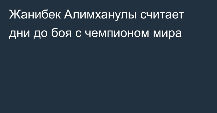 Жанибек Алимханулы считает дни до боя с чемпионом мира