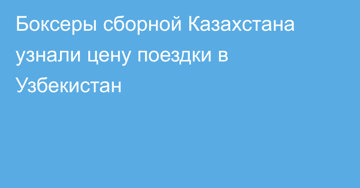 Боксеры сборной Казахстана узнали цену поездки в Узбекистан